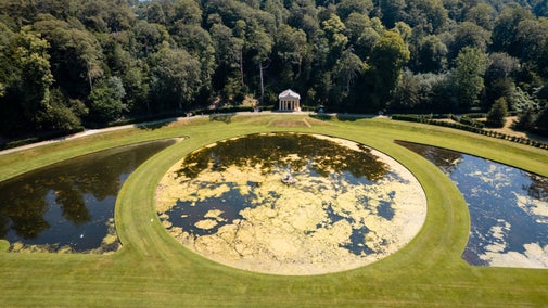 From above, pond weed makes the Moon Pond look appropriately lunar